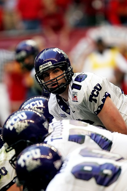 他们的入选 他们的入选