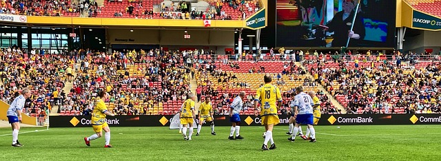 年轻新星的 年轻新星的