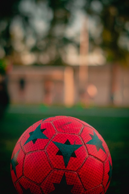 本菲卡完全 本菲卡完全