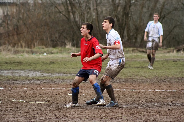 续签了为期 续签了为期