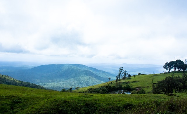 两端均有建 两端均有建