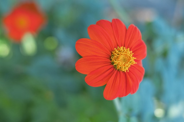 面对类似指 面对类似指