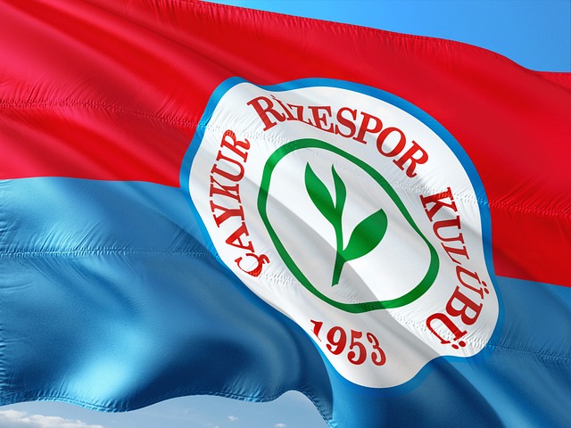 球迷们可以 球迷们可以